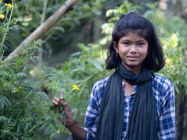 Step up to the plate resources