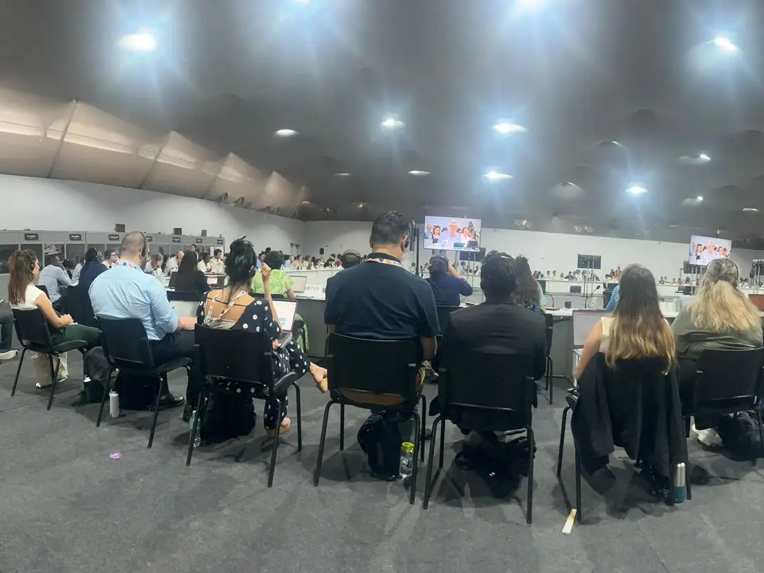 What was the outcome at COP30?