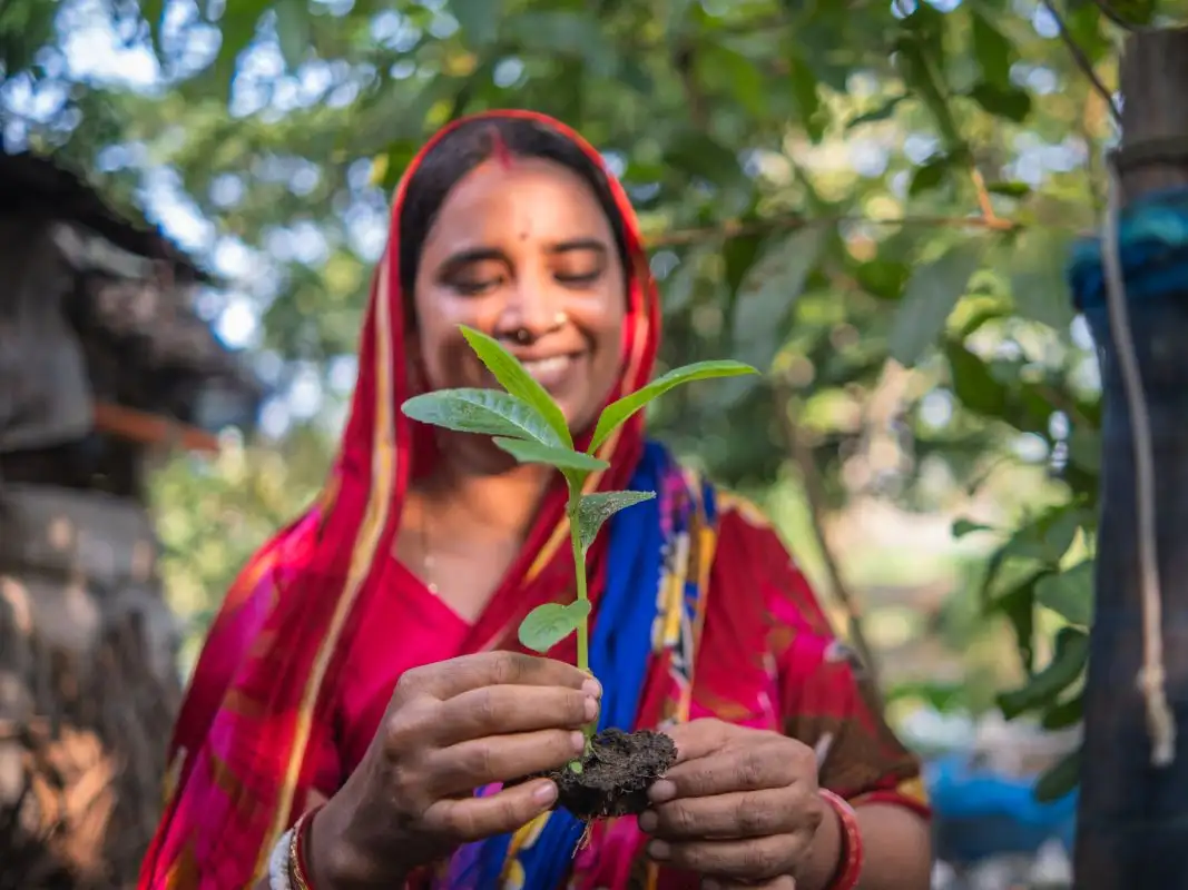 Tackling the climate crisis