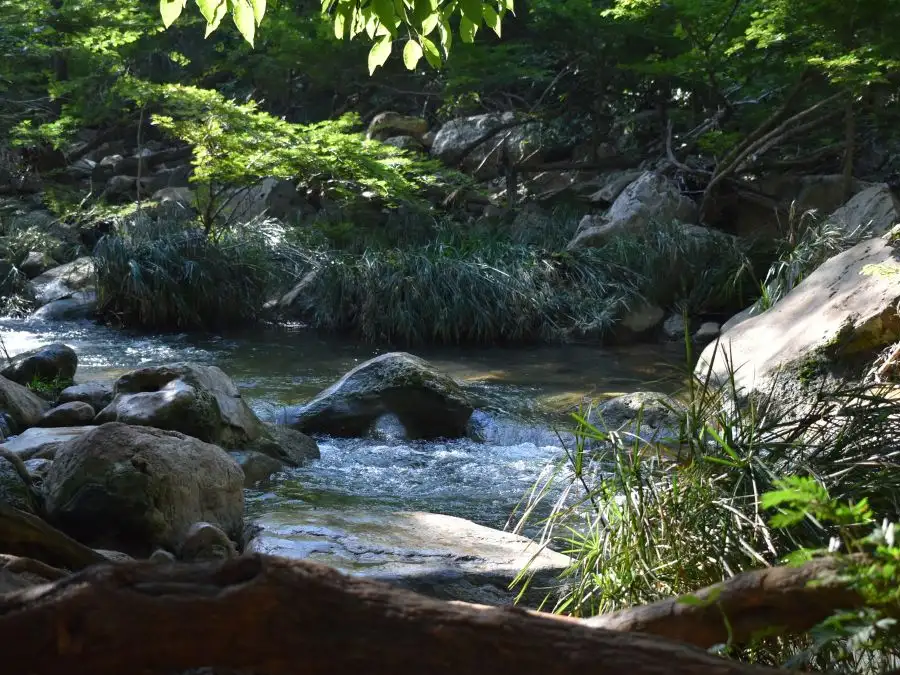 Pray for human rights defenders in Colombia