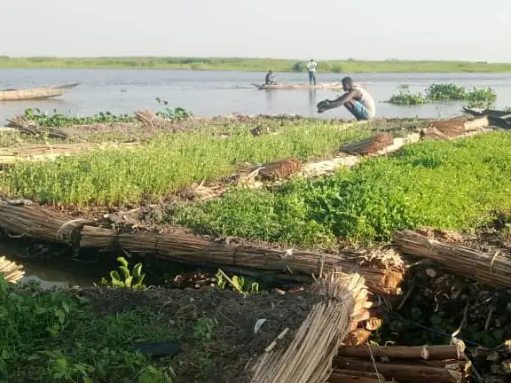 Aid cuts, food insecurity, and the role of local actors in Kenya and South Sudan