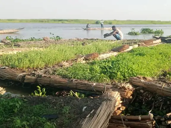 From crisis to reform: Aid cuts, food insecurity, and the role of local actors in Kenya and South Sudan