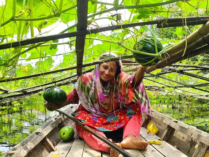 Asia - Bangladesh - Vermicompost Shed and Floating Vegetable Cultivation