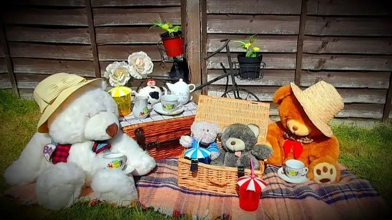 Teddy bear's picnic
