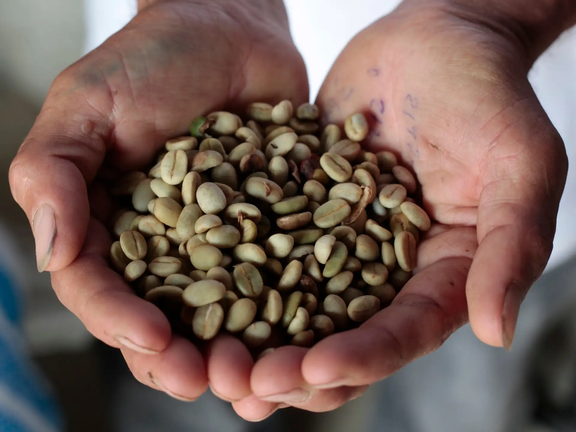 CAFOD International Programmes progress paper 2025: Building bridges for the future