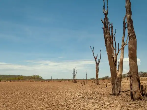 How are debt and coronavirus related?