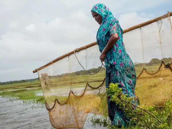 Voices from Bangladesh