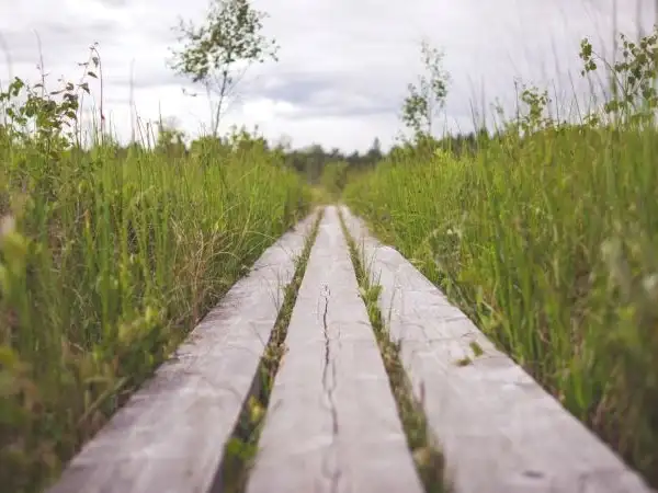 On the road to Emmaus