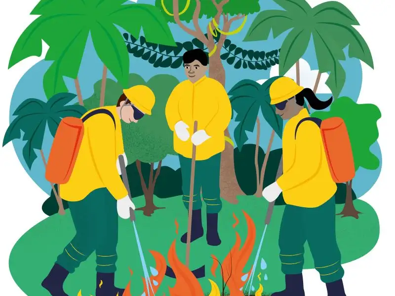 Fight fires in the Amazon