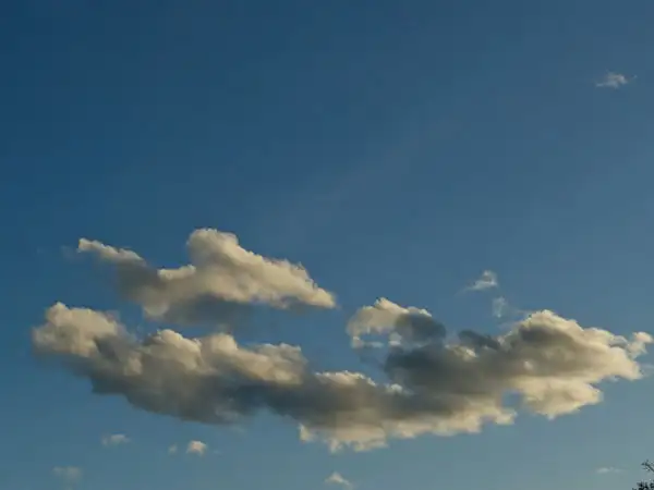 Ascension Celebration of the word