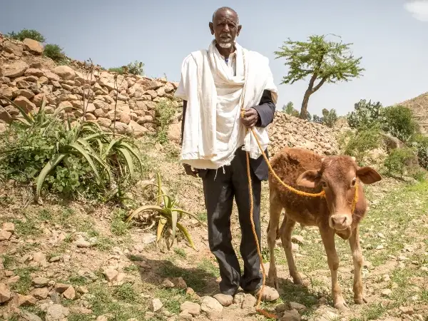 Ethiopia Food Crisis