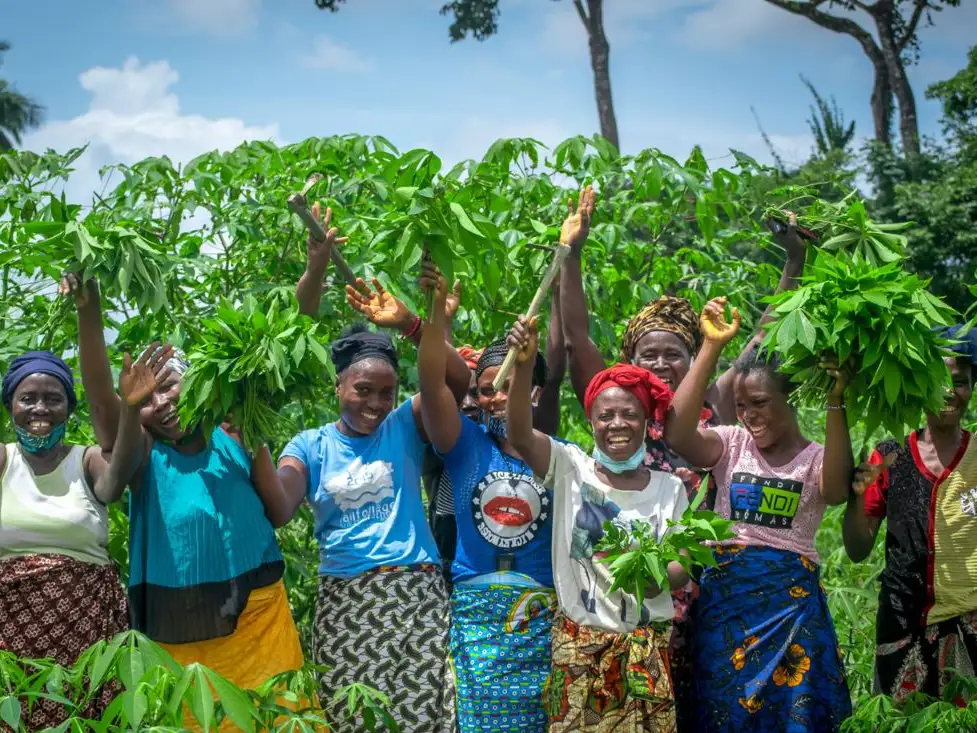 Africa - Sierra Leone - Supporting female farmers to improve food production