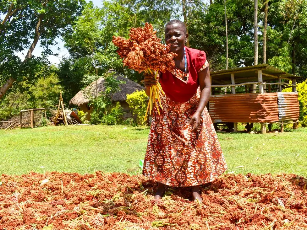 Women farmers and why protecting traditional seeds should matter to us all