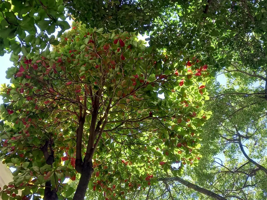 Faith, hope and love in the Year of Jubilee