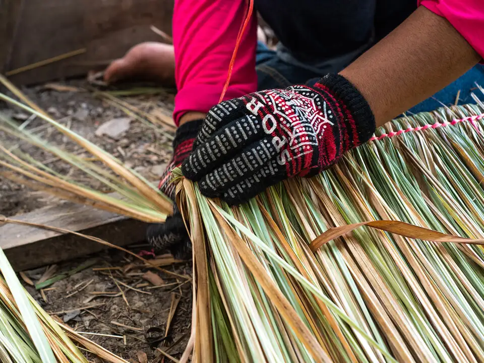 World-leading economists issue urgent call for action on the debt crisis in Vatican-backed report